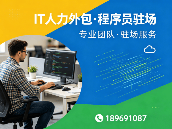 杭州IT人力外包解决方案:Python开发工程师人力外包助力企业高效用人