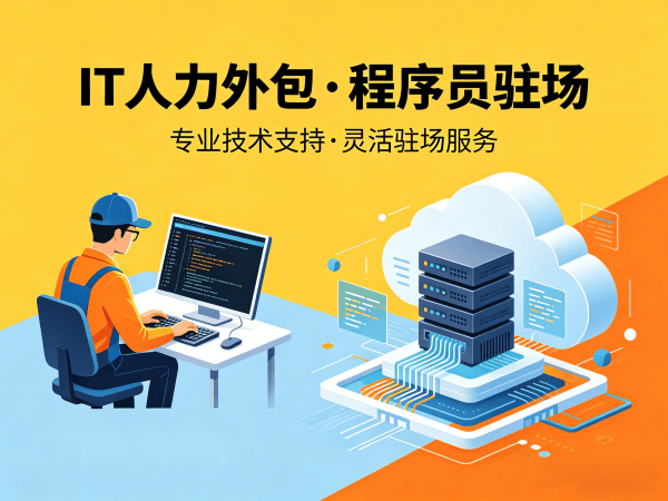 合肥IT人力外包解决方案：大数据开发程序员驻场服务，解决企业技术人才短缺痛点