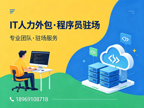 上海IT人力外包解决方案：后端开发程序员驻场开发高效解决企业技术人才难题