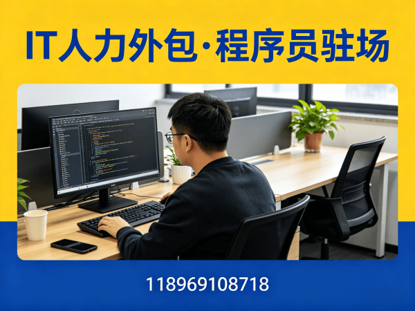 郑州IT人力外包解决方案：Go开发程序员驻场开发的高效选择