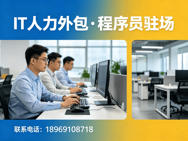 天津大数据开发程序员IT人力外包解决方案，高效解决企业技术人才需求
