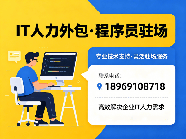 武汉IT人力外包解决方案:大数据开发程序员驻场服务,解决企业技术人才短缺难题